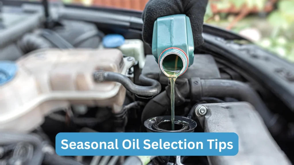 Seasonal Oil Selection Tips