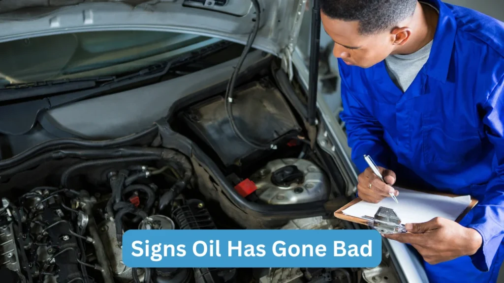 Signs Oil Has Gone Bad